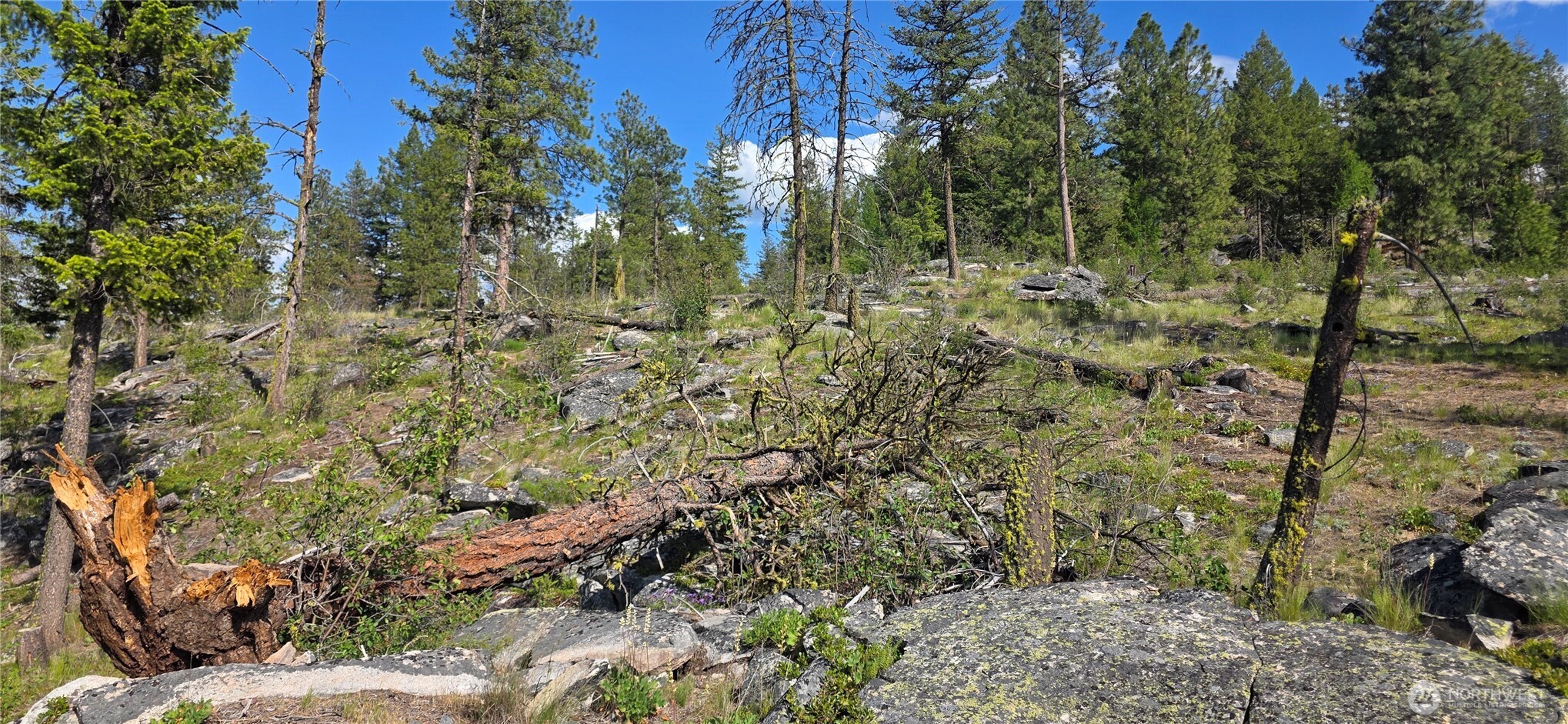 385 Corral Oroville WA 98844