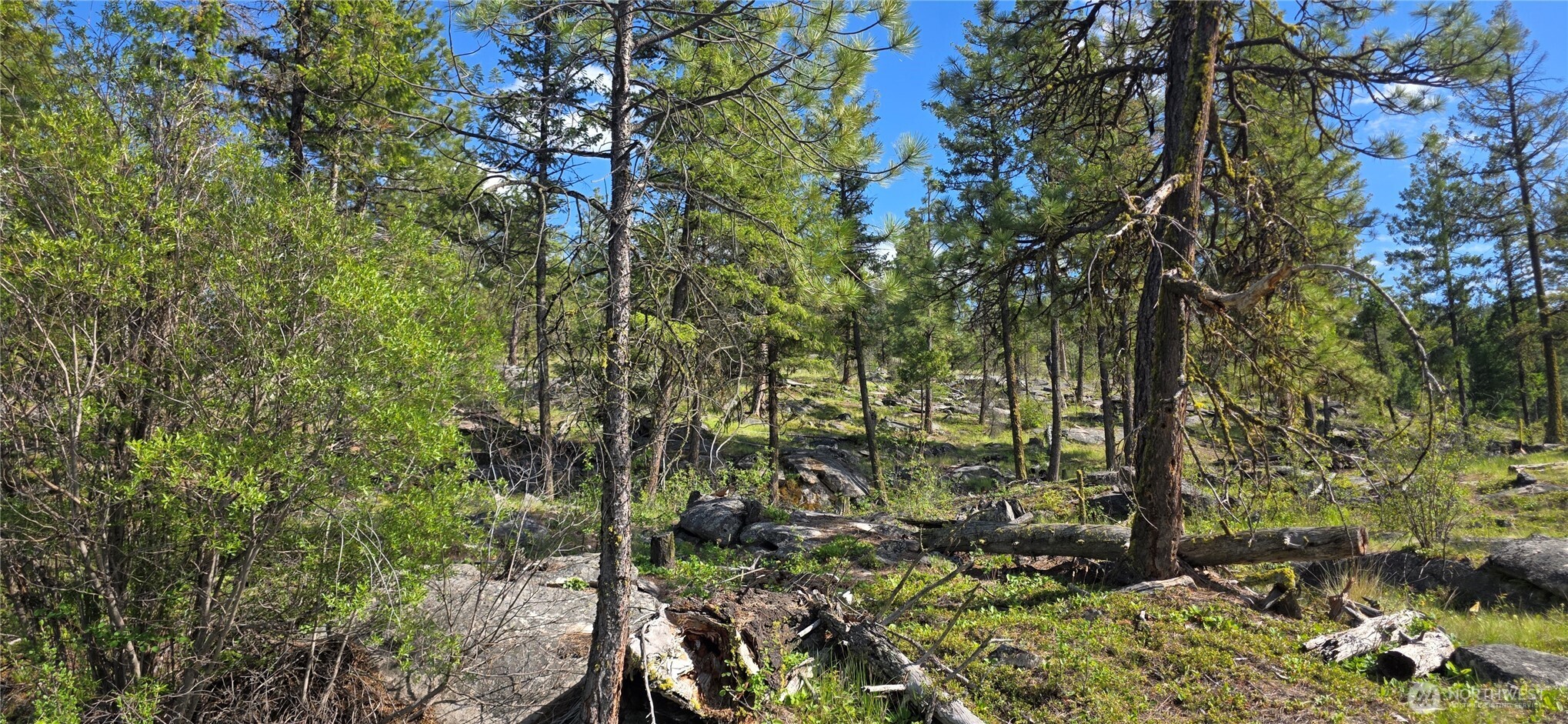 385 Corral Oroville WA 98844
