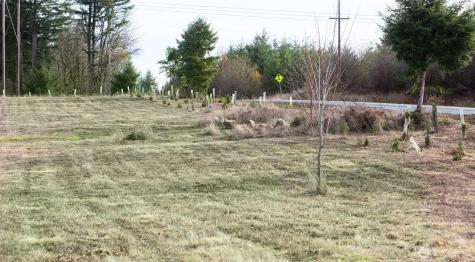 14010 Quiet Waters Lane SW Rochester WA 98579