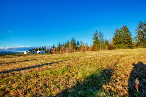 14010 Quiet Waters Lane SW Rochester WA 98579
