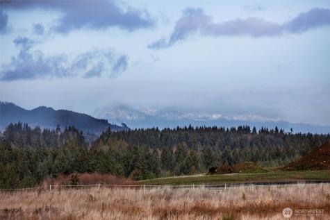 14010 Quiet Waters Lane SW Rochester WA 98579