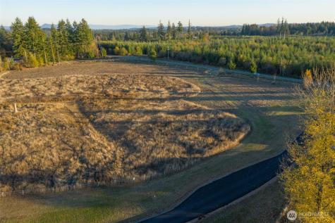 14010 Quiet Waters Lane SW Rochester WA 98579