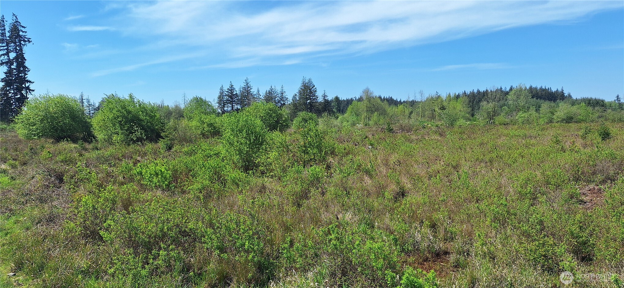 123 Meier Road Winlock WA 98596