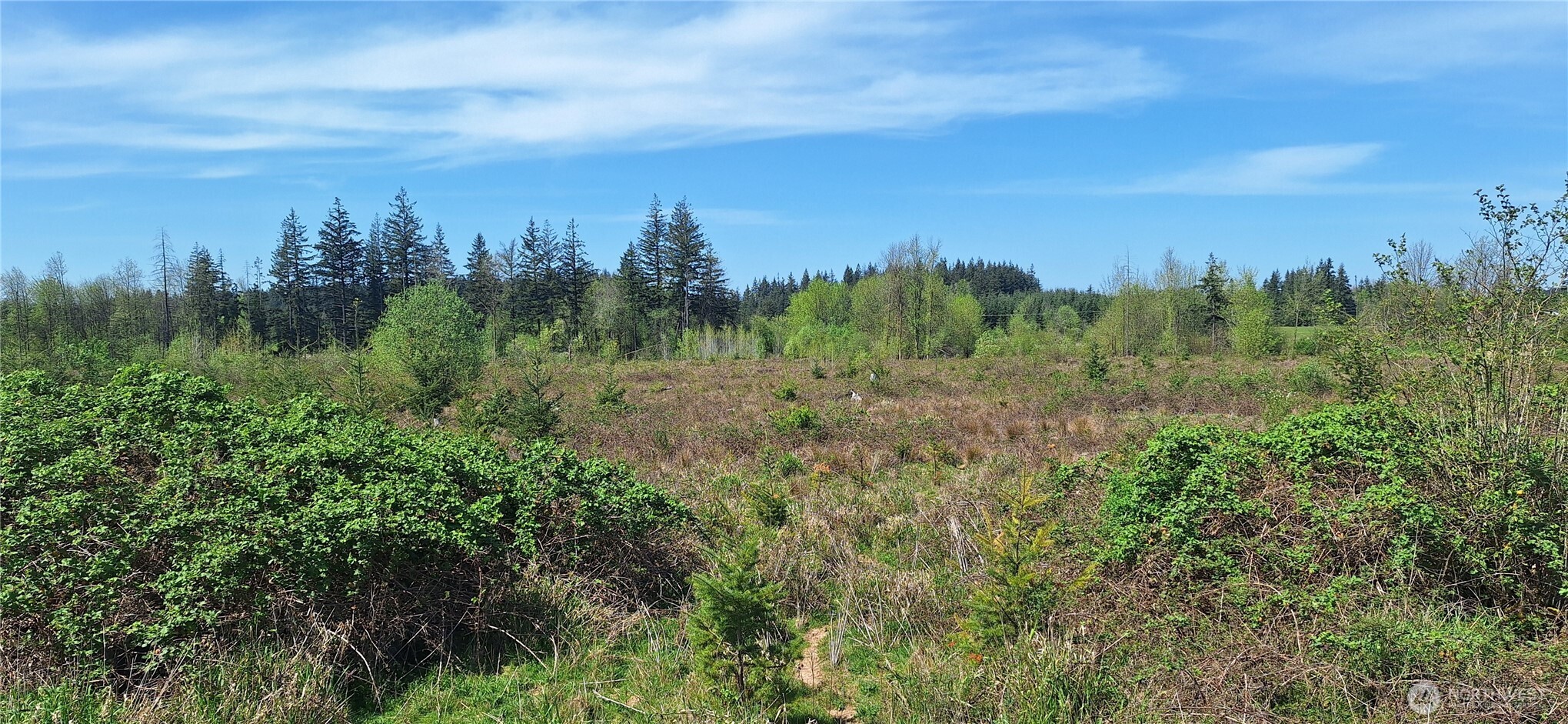 123 Meier Road Winlock WA 98596