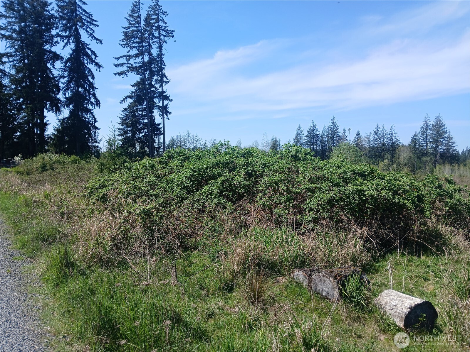 123 Meier Road Winlock WA 98596