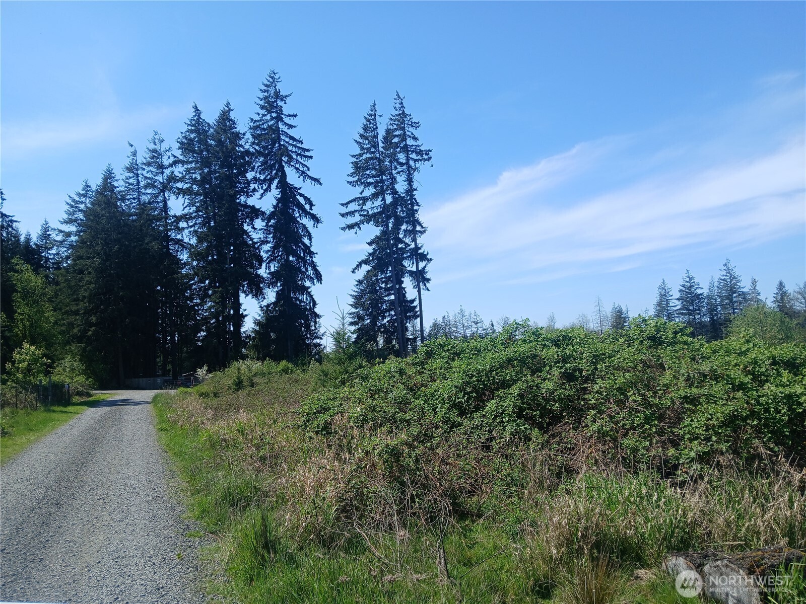 123 Meier Road Winlock WA 98596