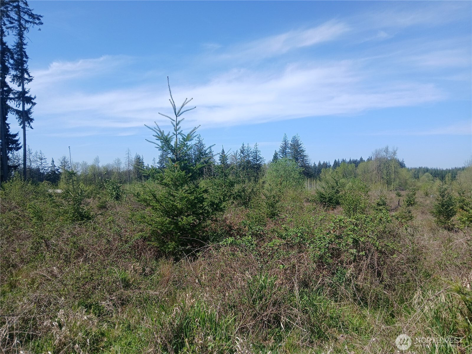 123 Meier Road Winlock WA 98596