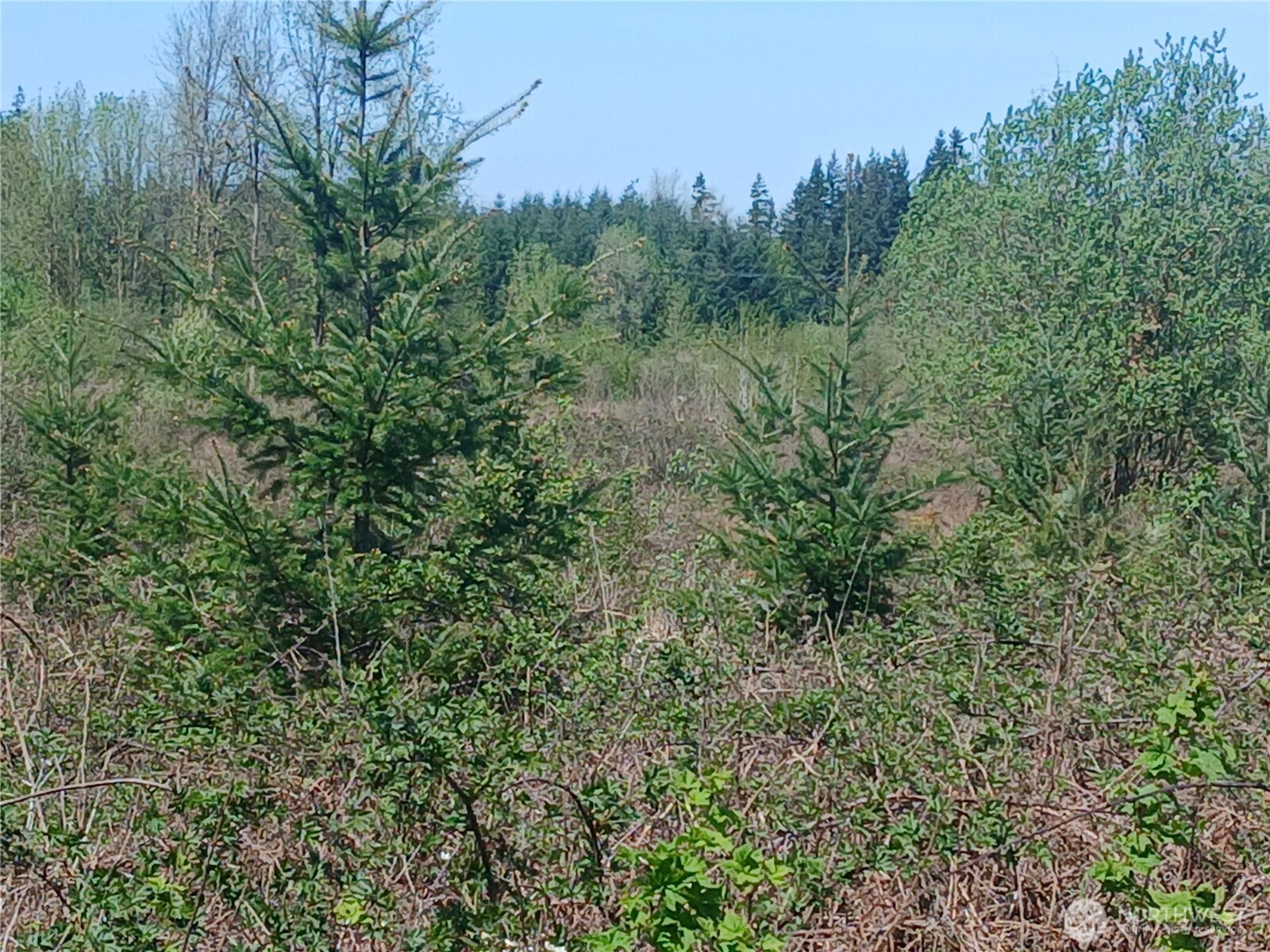 123 Meier Road Winlock WA 98596