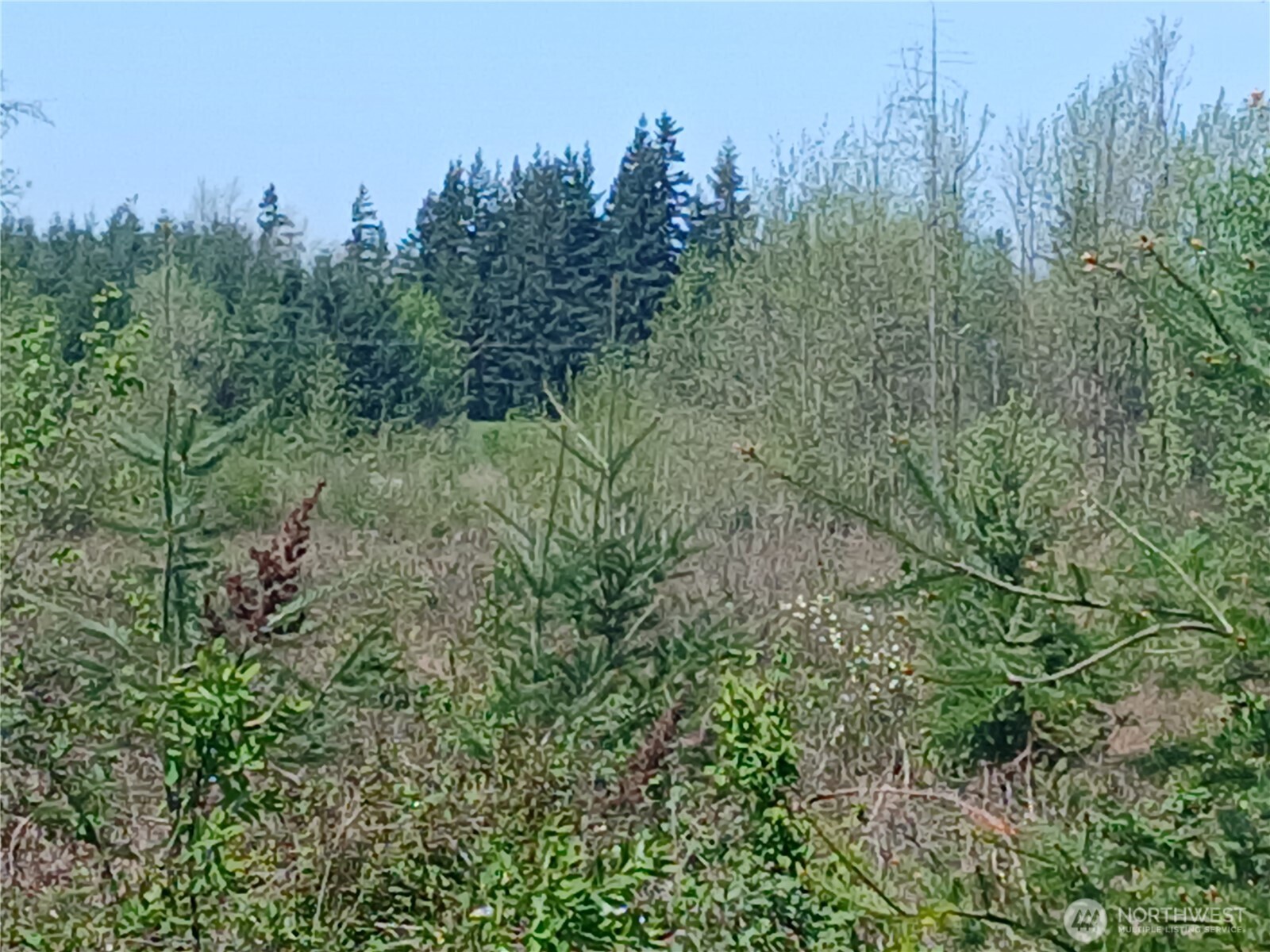 123 Meier Road Winlock WA 98596