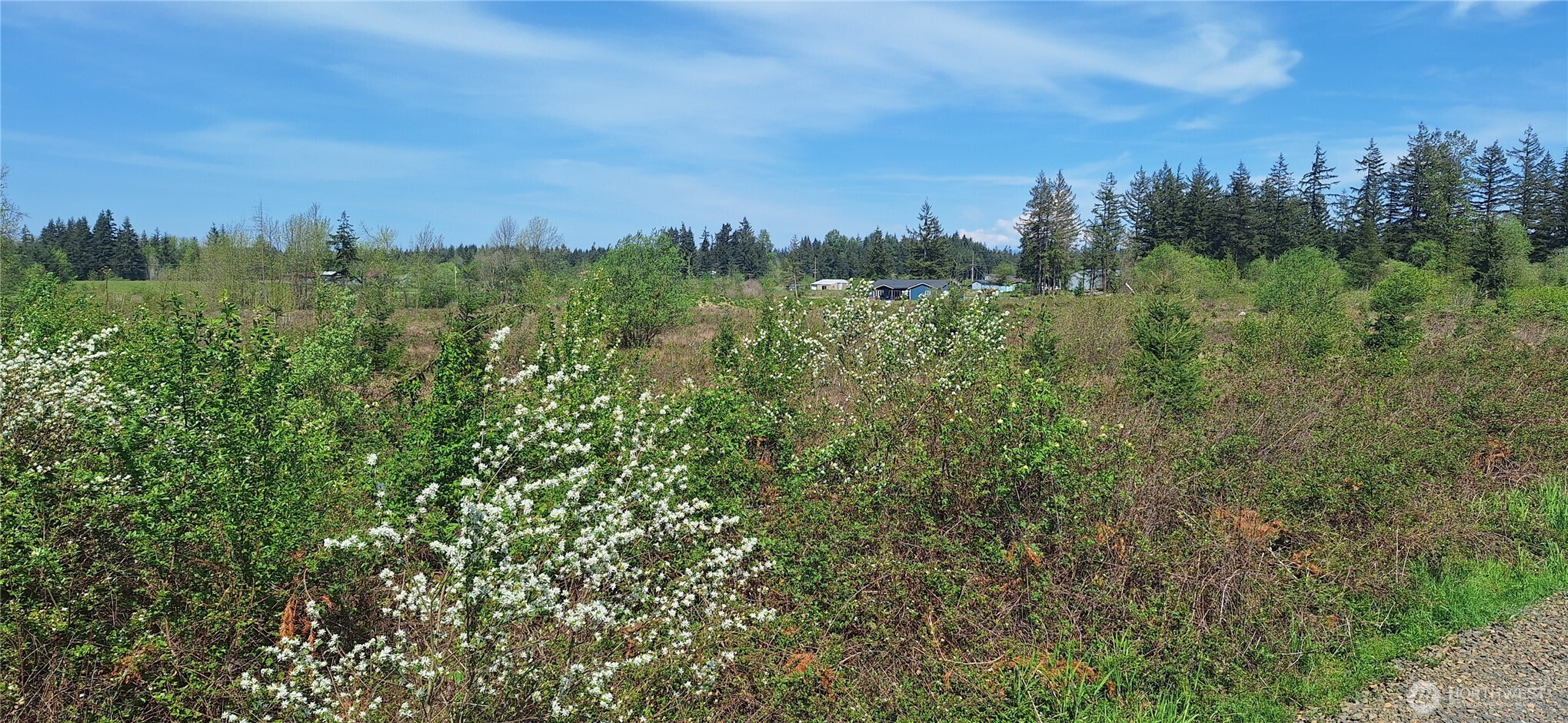 123 Meier Road Winlock WA 98596