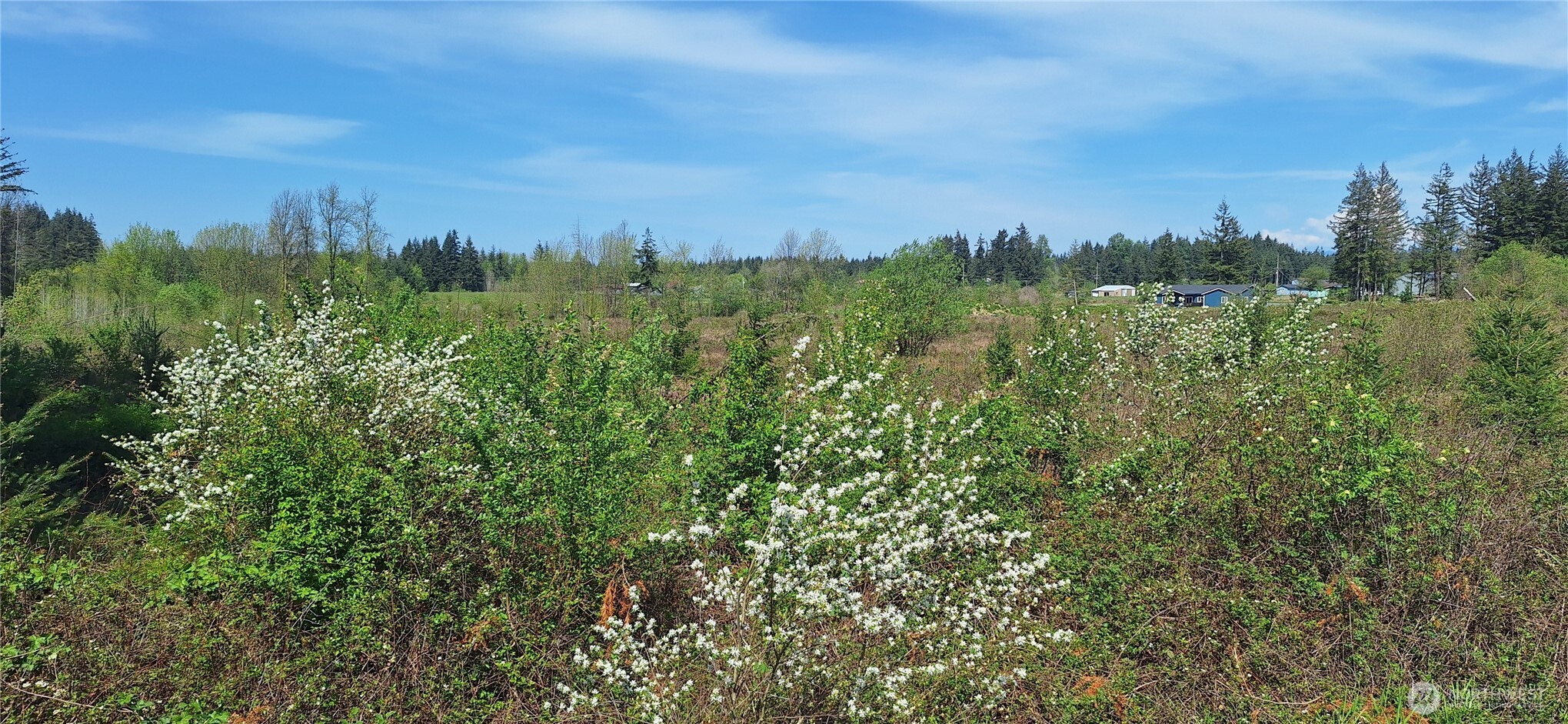 123 Meier Road Winlock WA 98596