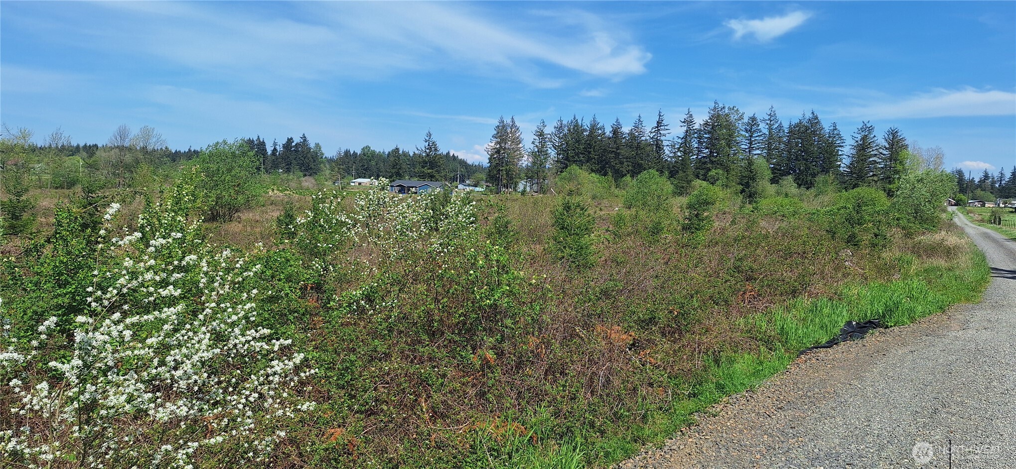 123 Meier Road Winlock WA 98596