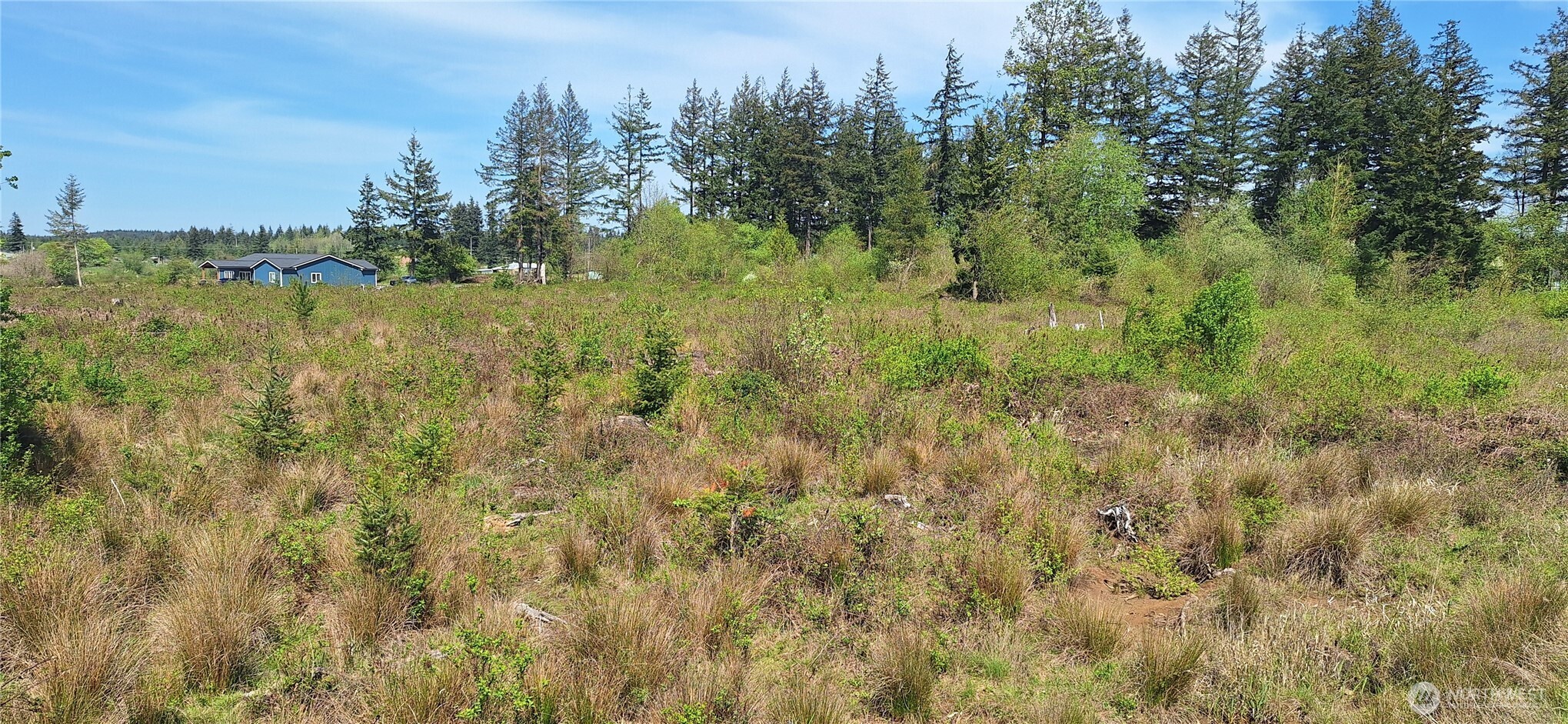 123 Meier Road Winlock WA 98596