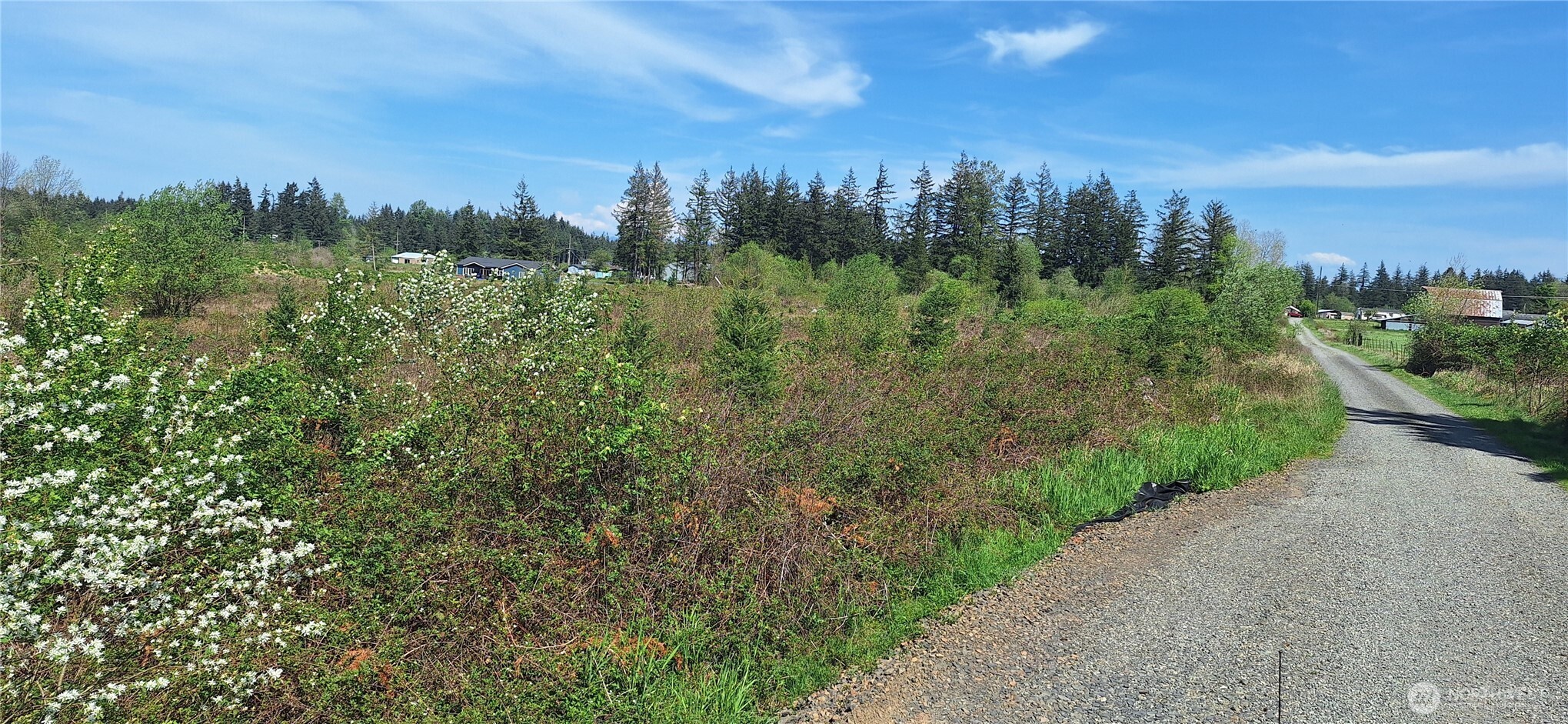 123 Meier Road Winlock WA 98596