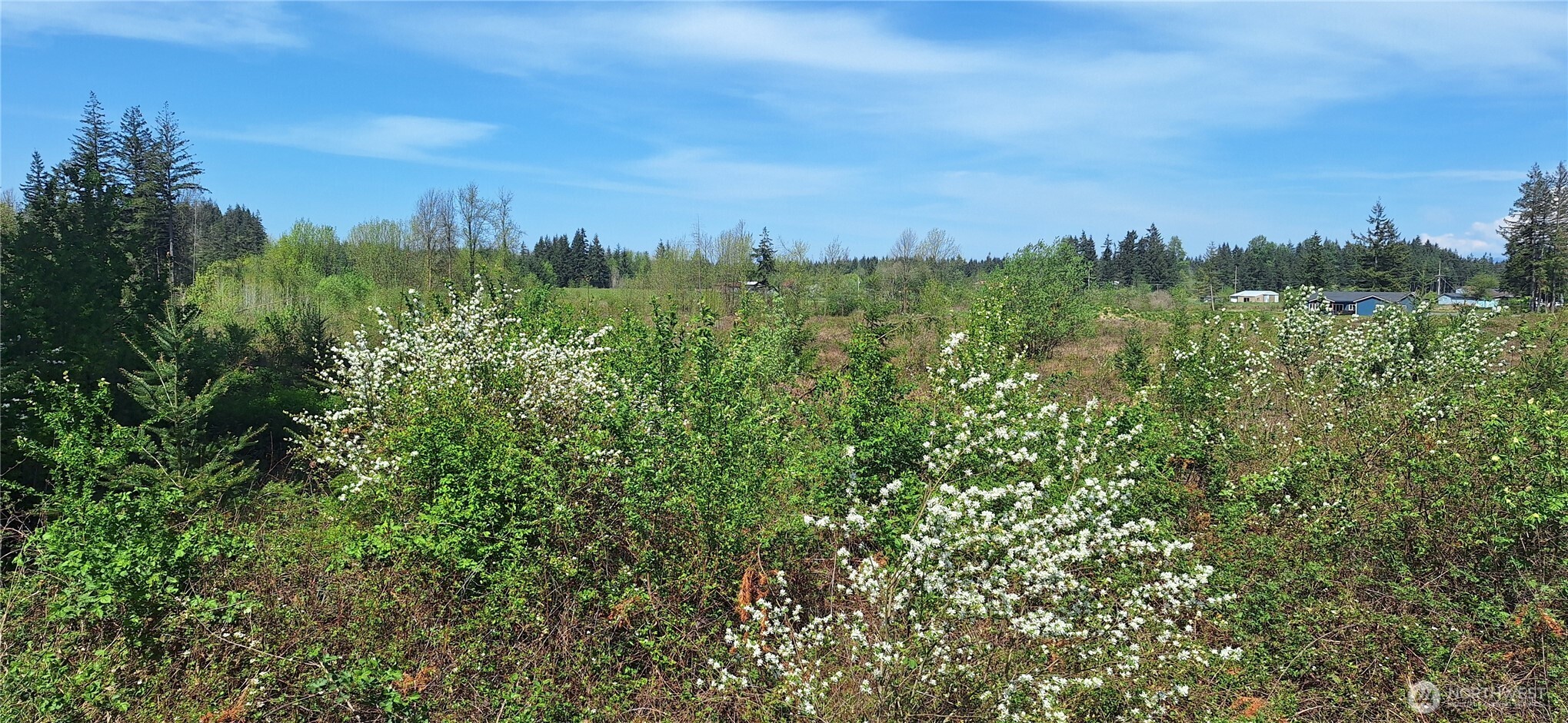 123 Meier Road Winlock WA 98596
