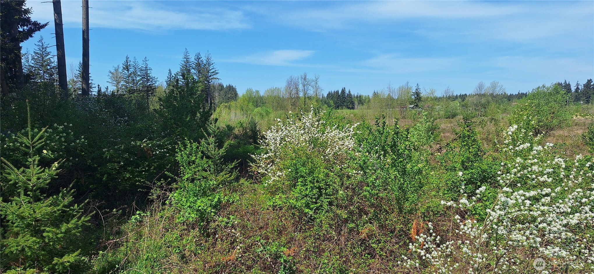 123 Meier Road Winlock WA 98596