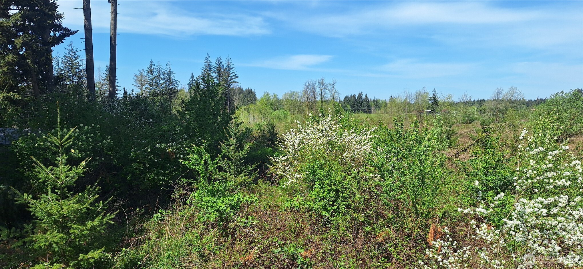 123 Meier Road Winlock WA 98596