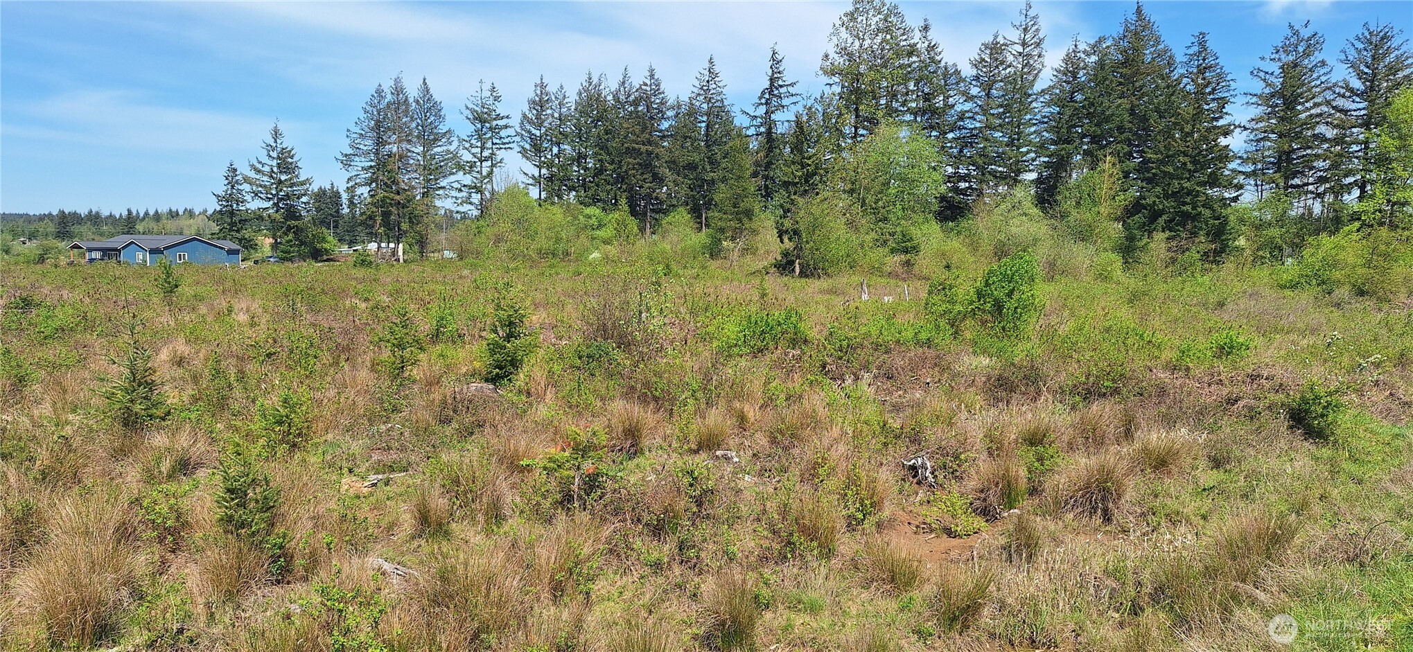 123 Meier Road Winlock WA 98596