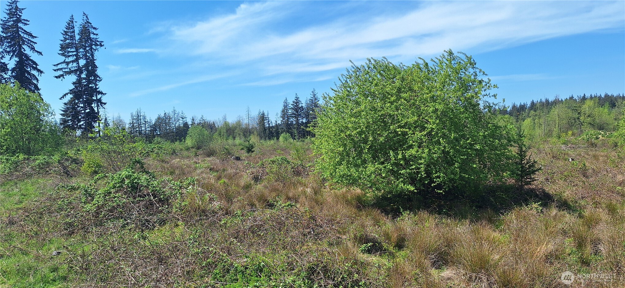 123 Meier Road Winlock WA 98596