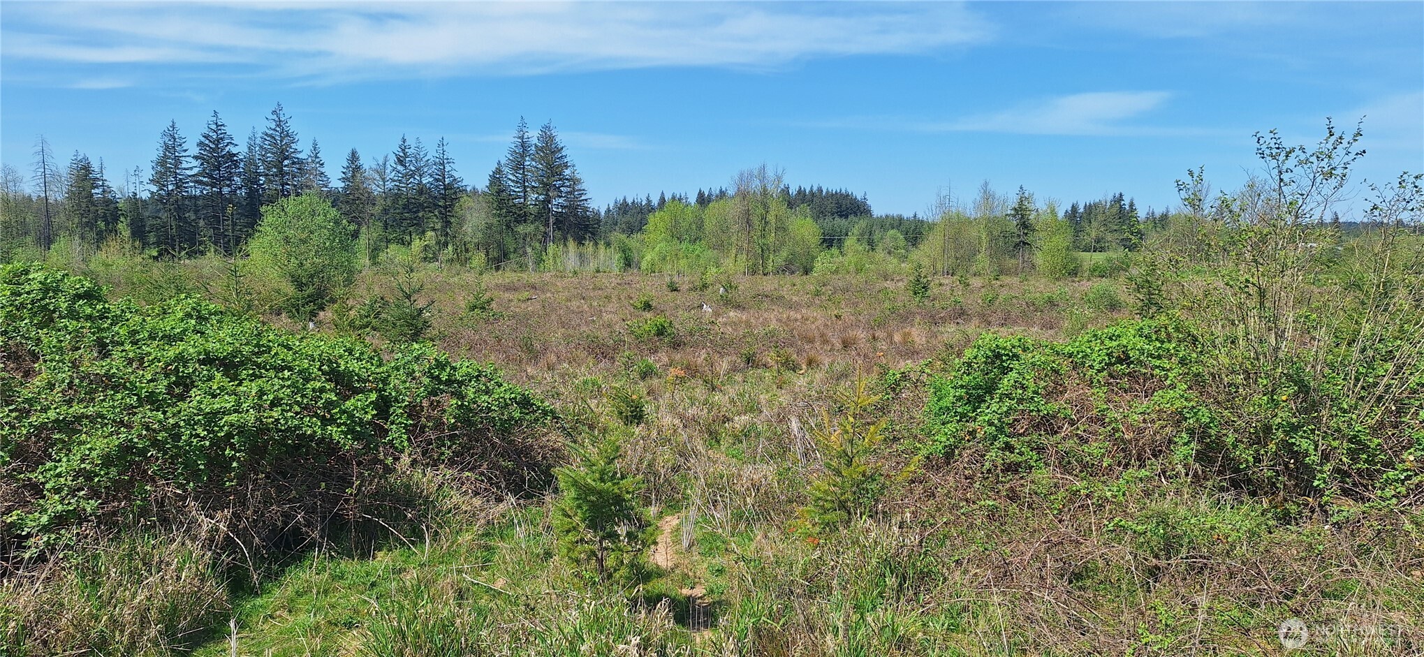 123 Meier Road Winlock WA 98596