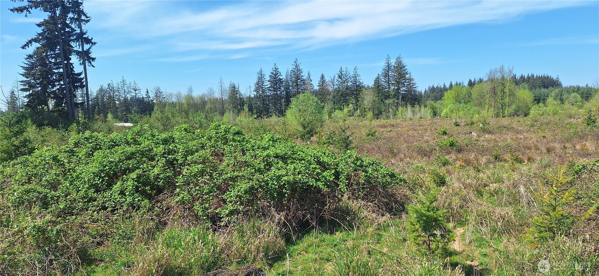 123 Meier Road Winlock WA 98596