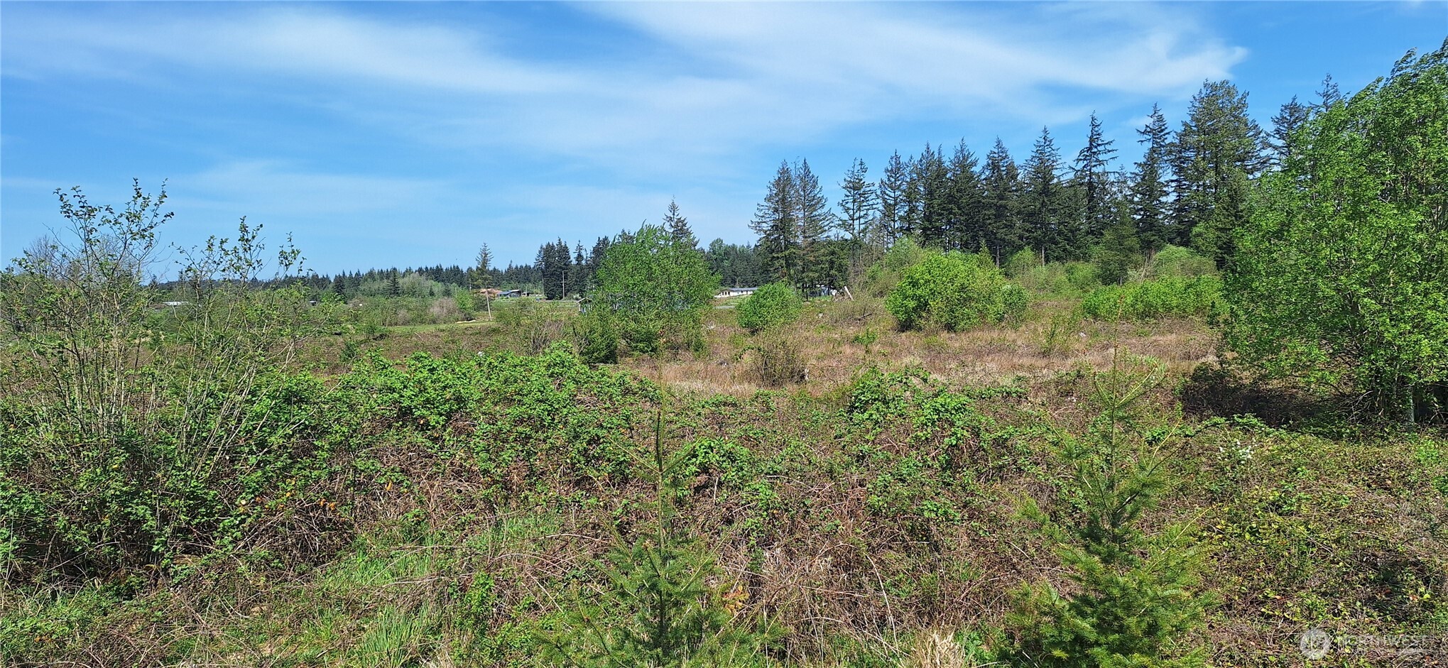 123 Meier Road Winlock WA 98596