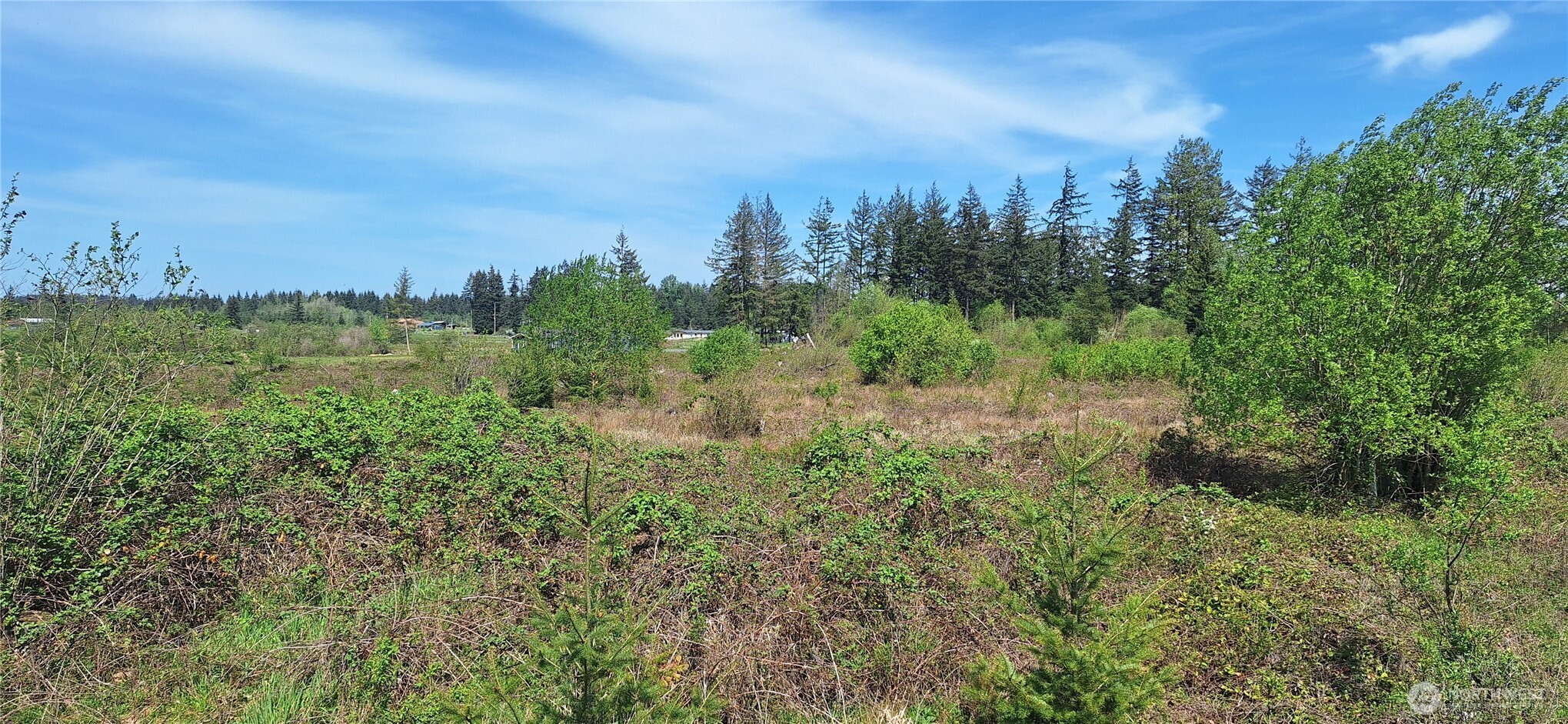 123 Meier Road Winlock WA 98596