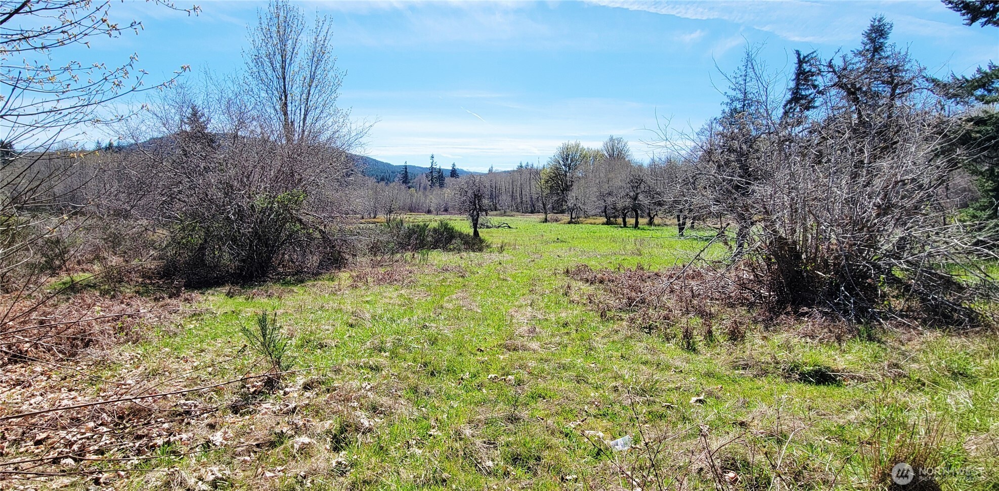 0 W Cloquallum Road Shelton WA 98584