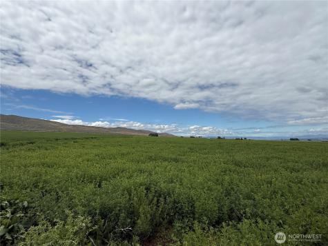 11 Borland Road Ellensburg WA 98926
