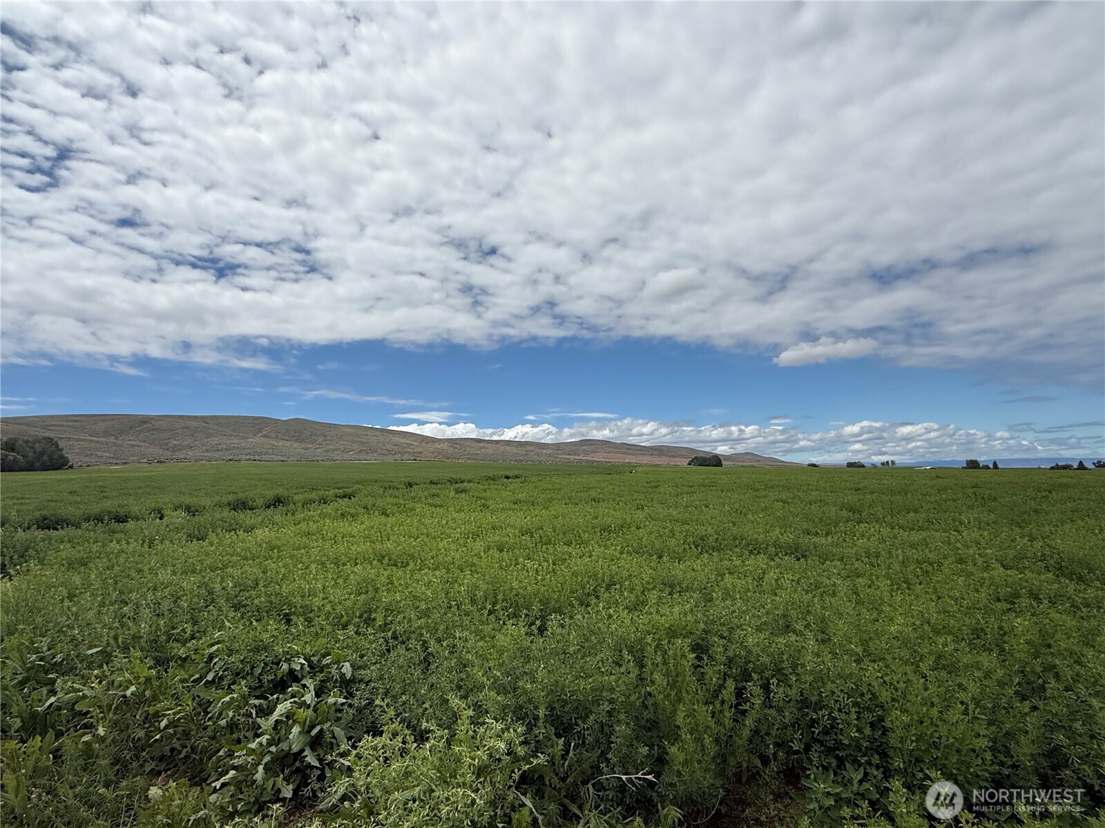 11 Borland Road Ellensburg WA 98926