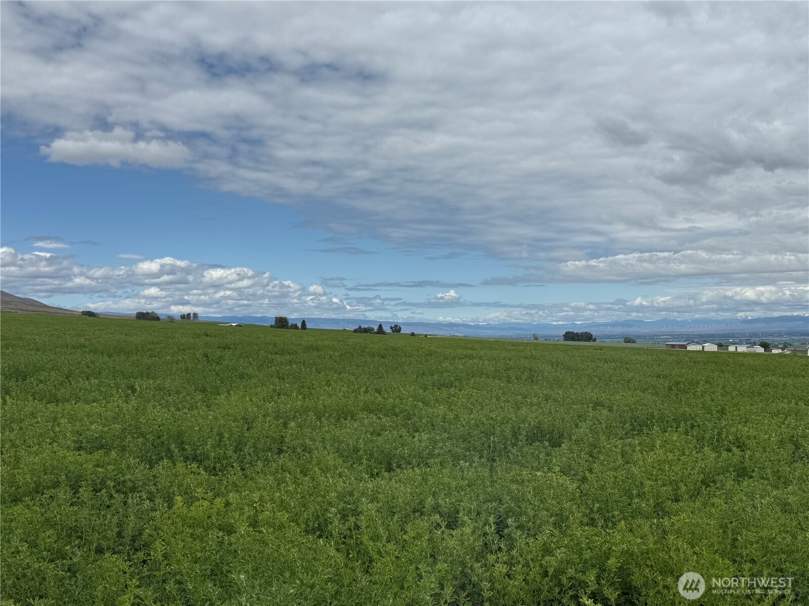 11 Borland Road Ellensburg WA 98926