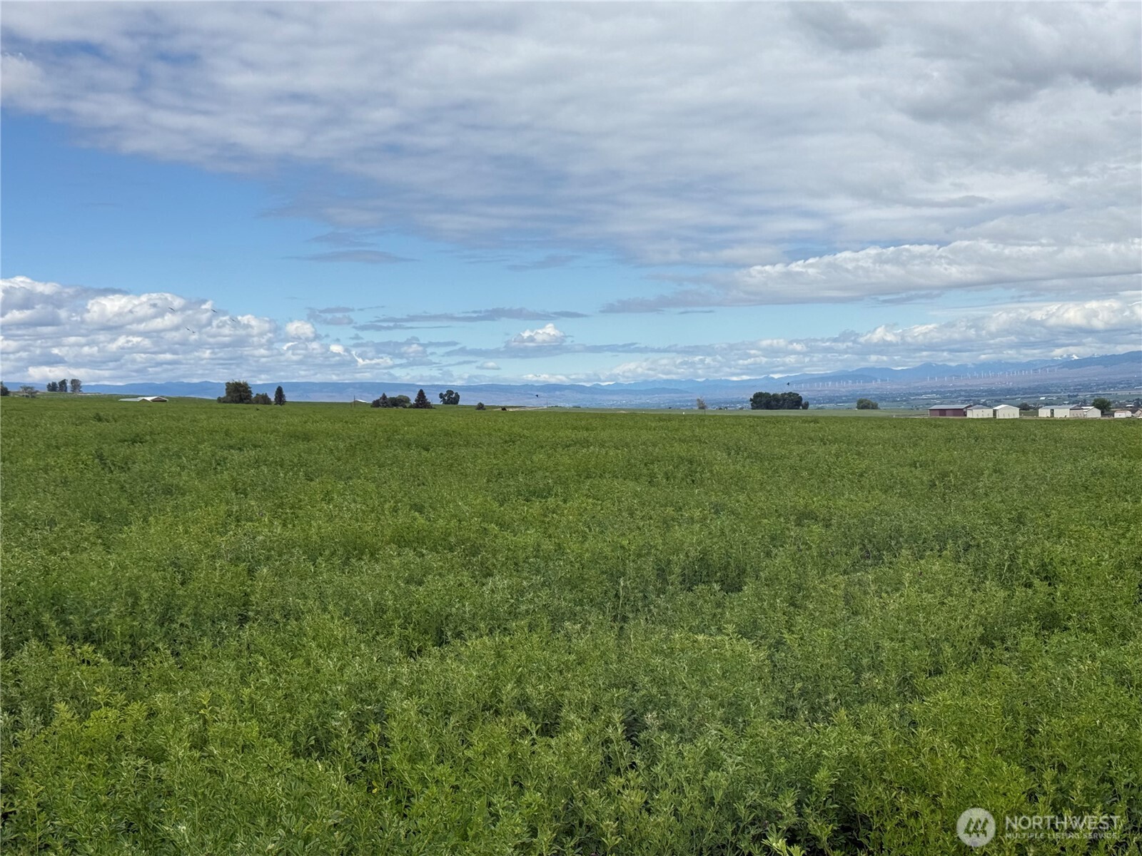 11 Borland Road Ellensburg WA 98926
