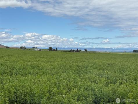 11 Borland Road Ellensburg WA 98926