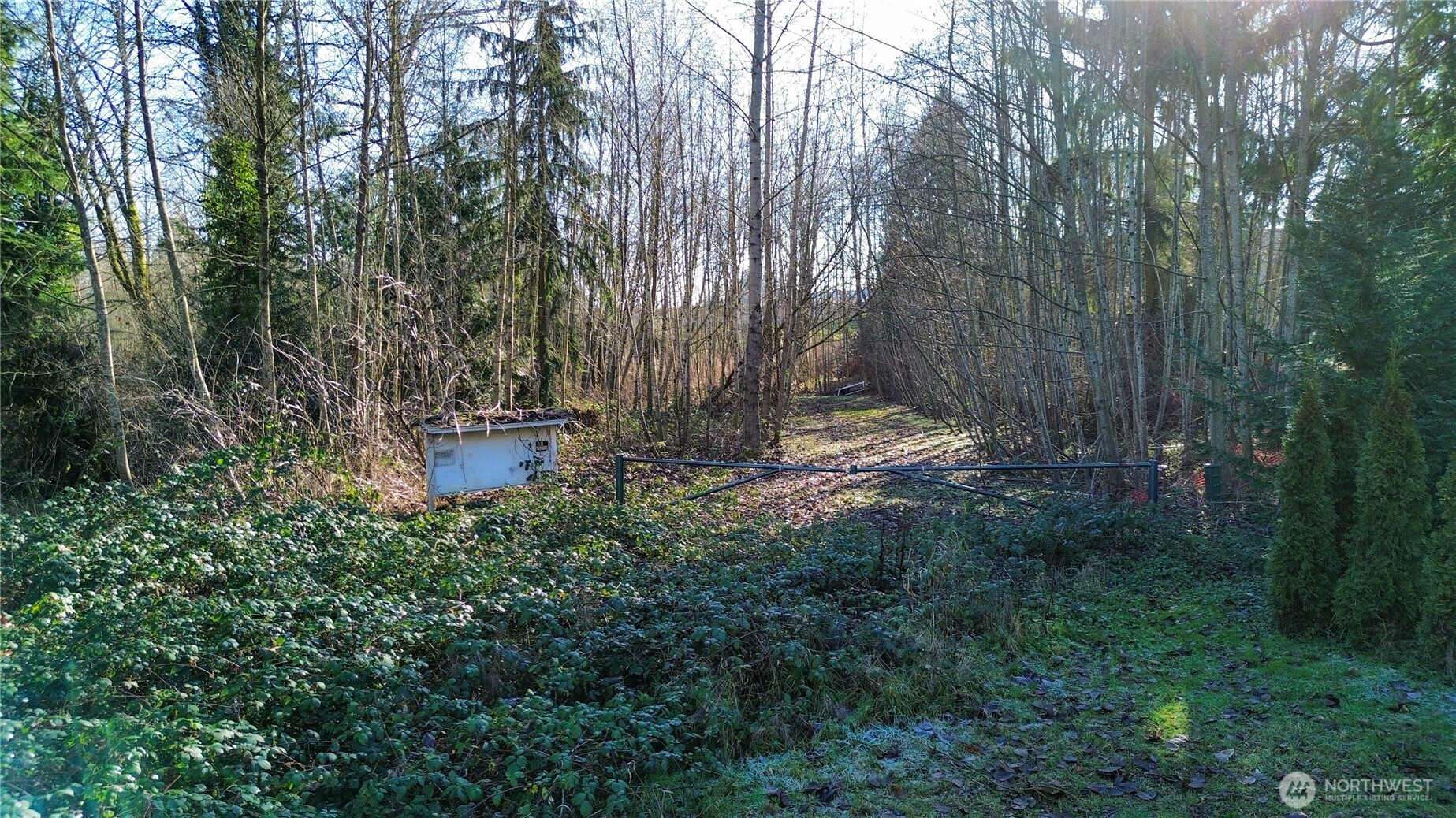 14303 89th Avenue SE Snohomish WA 98296