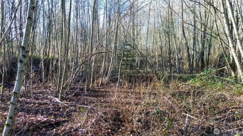 14303 89th Avenue SE Snohomish WA 98296