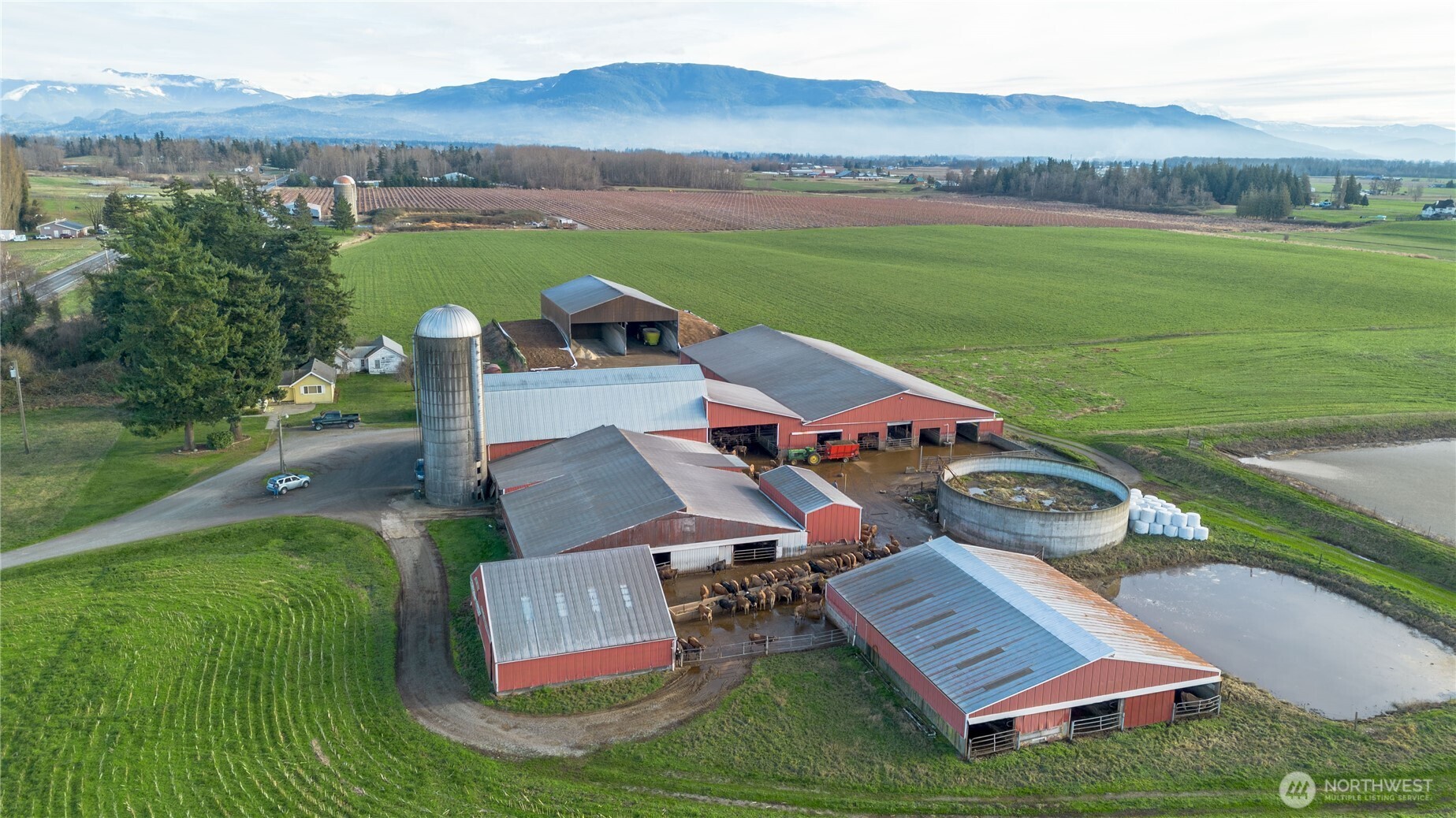 1915 Hampton Road Everson WA 98247