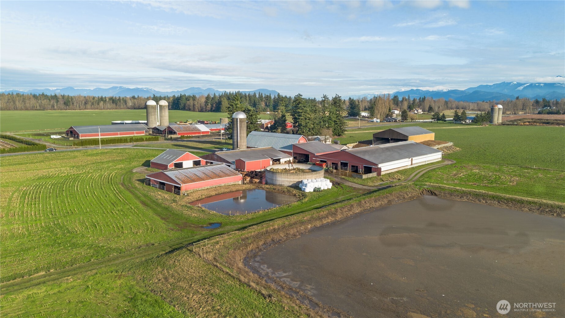 1915 Hampton Road Everson WA 98247
