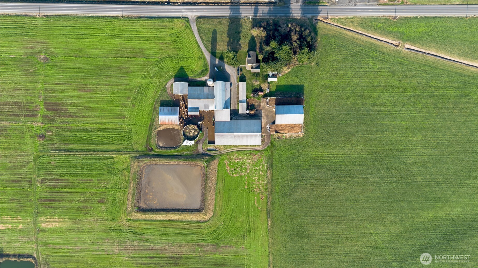 1915 Hampton Road Everson WA 98247