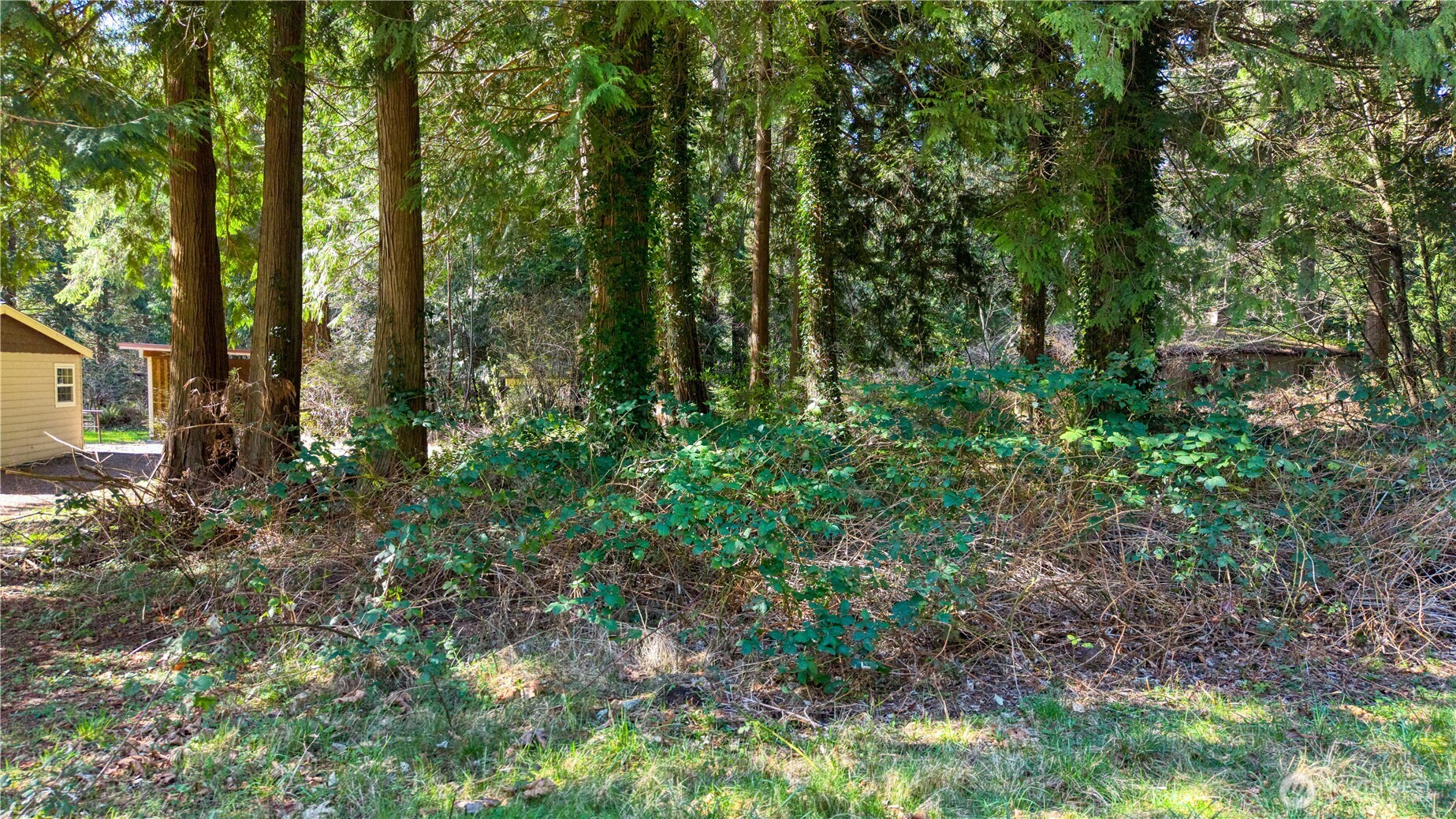 16 Burns Way Point Roberts WA 98281