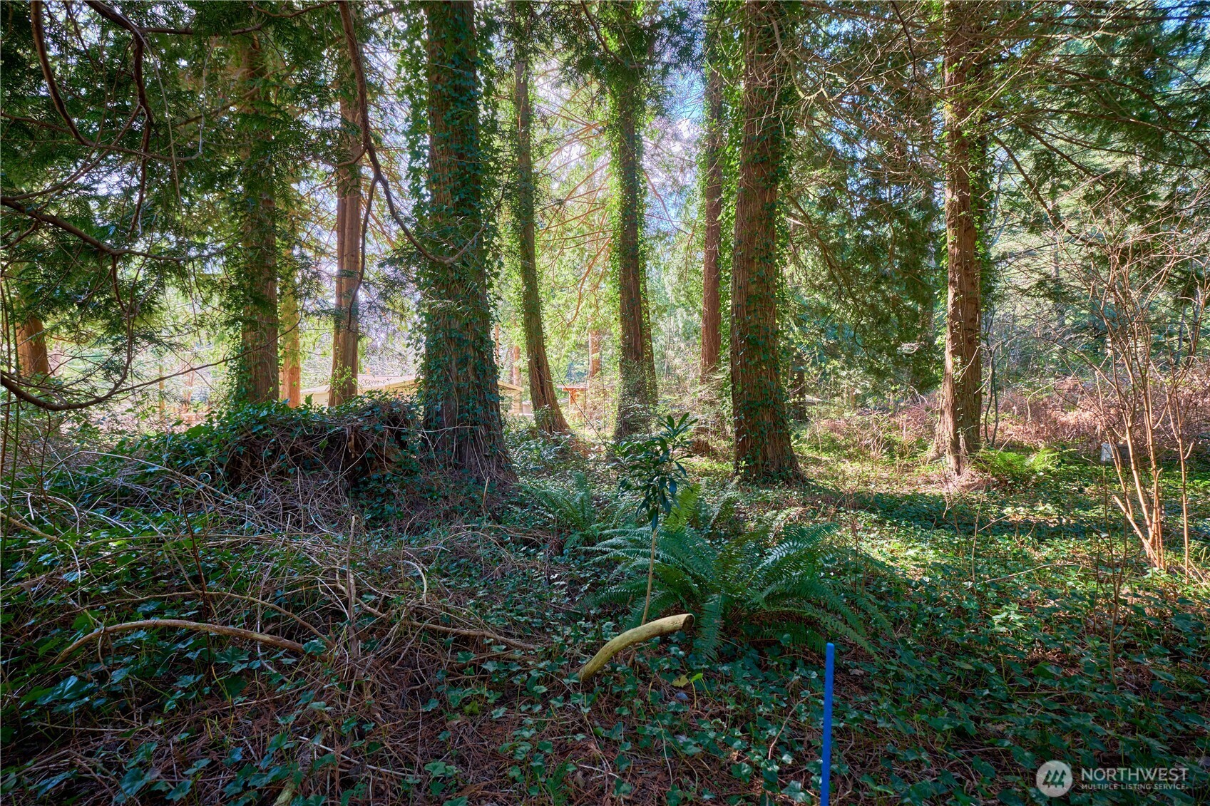 16 Burns Way Point Roberts WA 98281