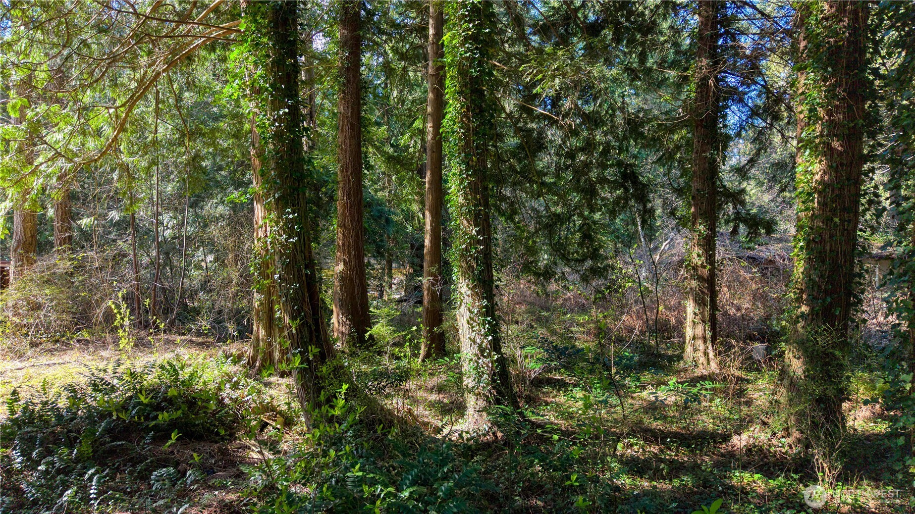 16 Burns Way Point Roberts WA 98281