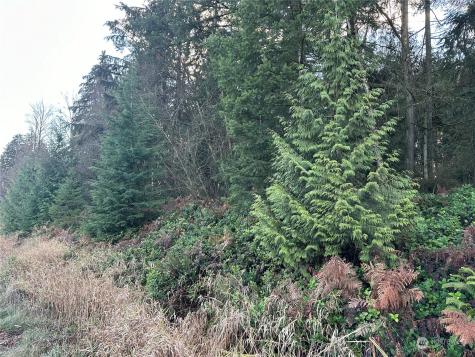 8300 Sr9 Marysville WA 98270