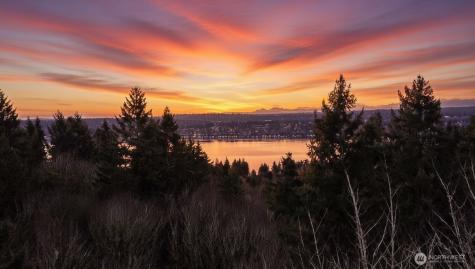 7017 NE 132 Kirkland WA 98034
