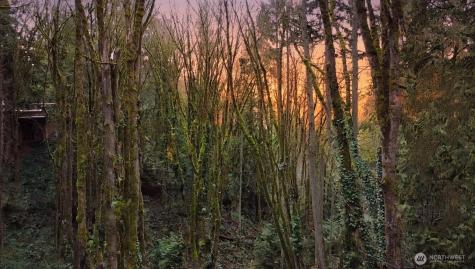 7017 NE 132 Kirkland WA 98034