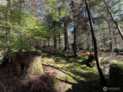 2000 Peregrine Road Orcas Island WA 98279