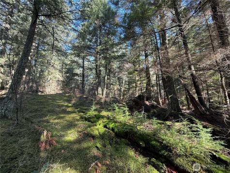 2000 Peregrine Road Orcas Island WA 98279