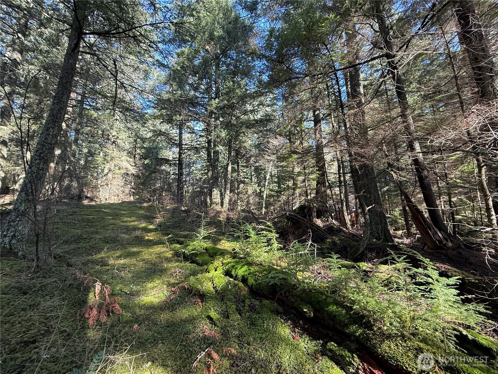 2000 Peregrine Road Orcas Island WA 98279