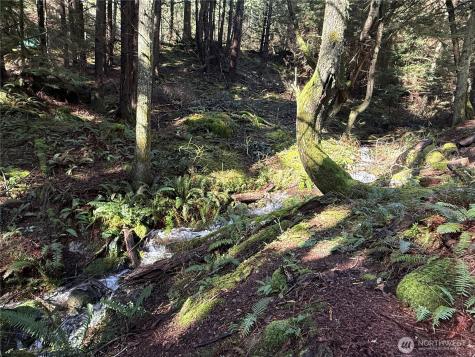 2000 Peregrine Road Orcas Island WA 98279
