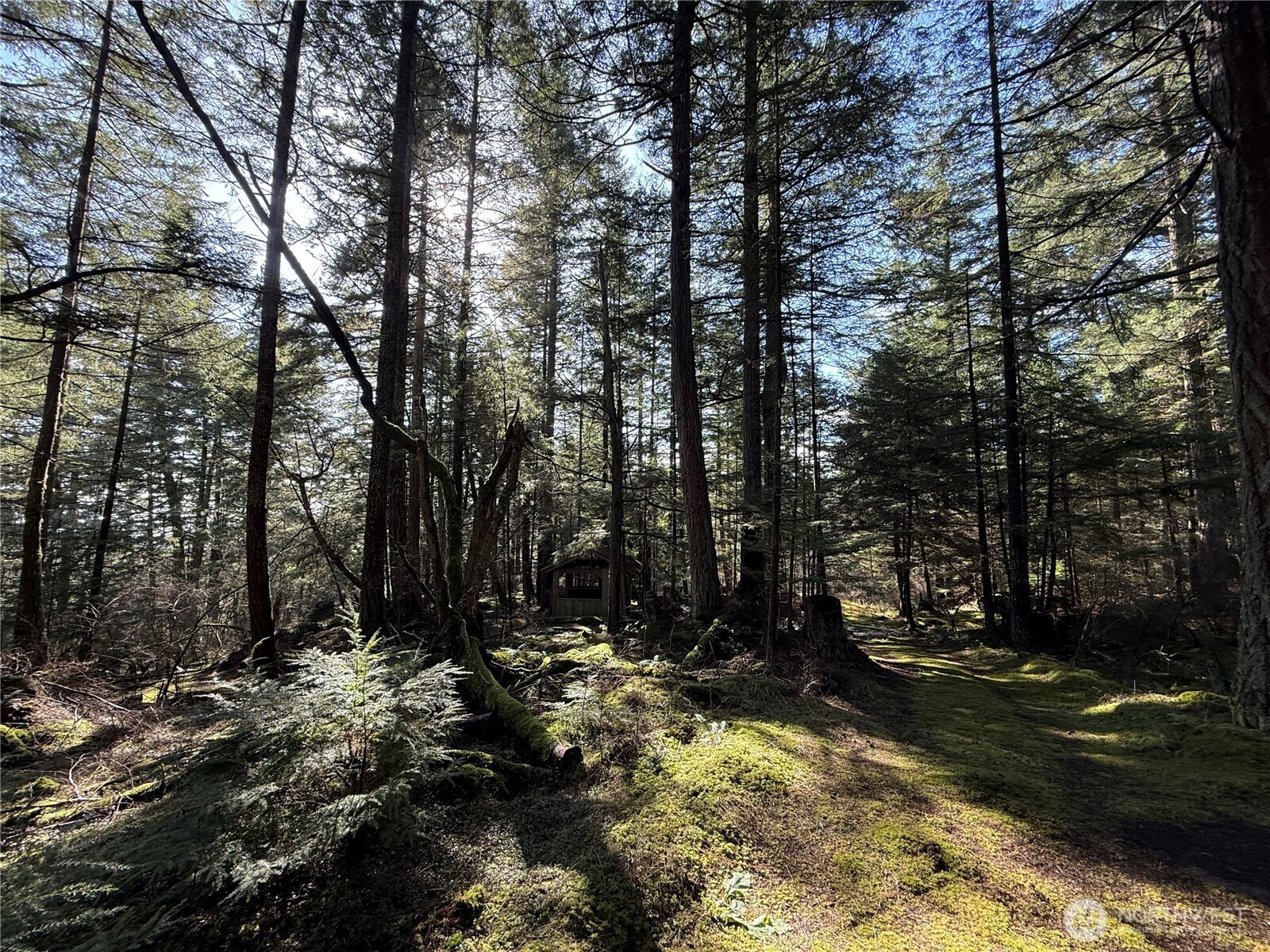 2000 Peregrine Road Orcas Island WA 98279