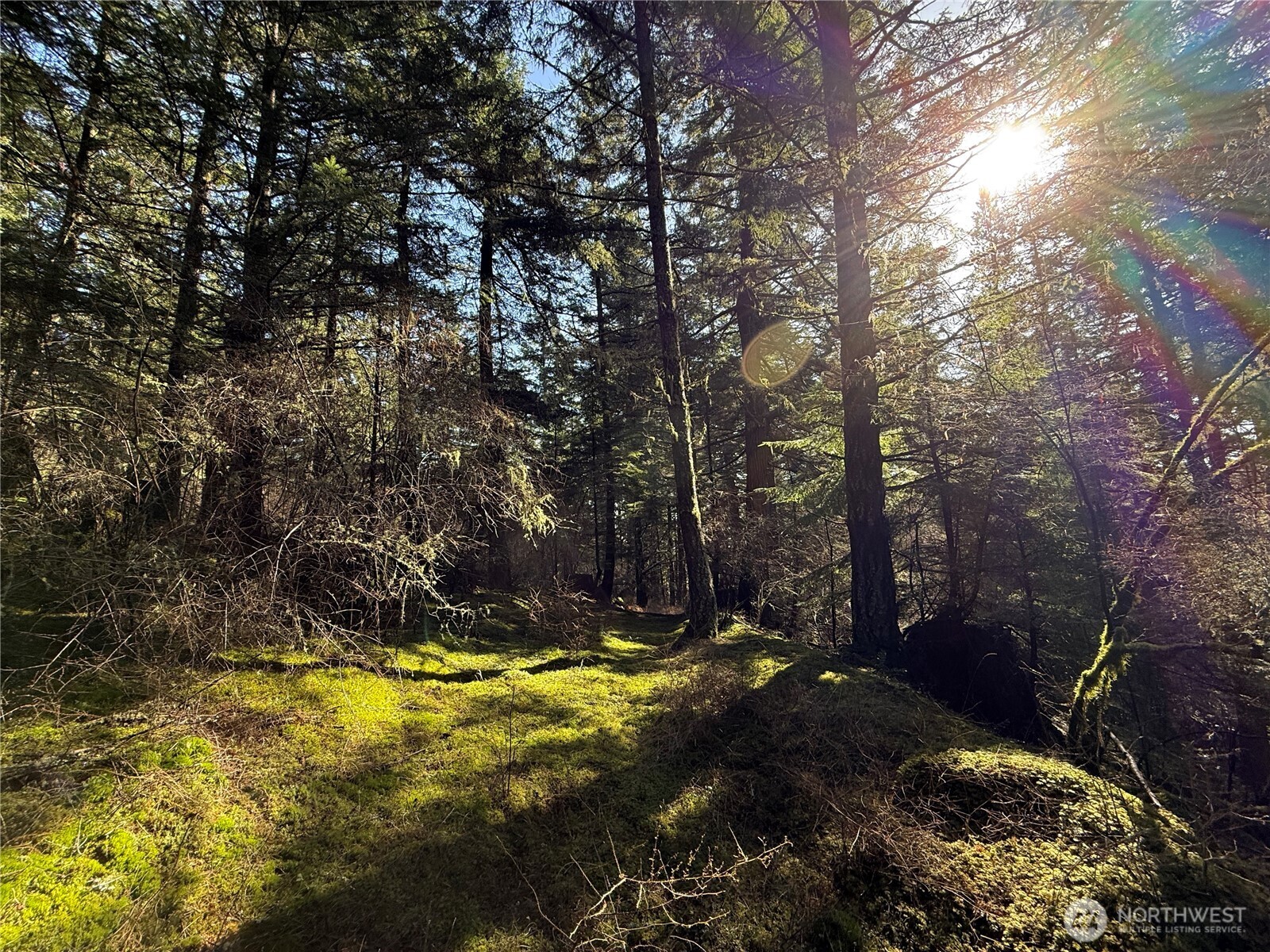 2000 Peregrine Road Orcas Island WA 98279